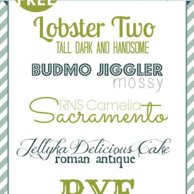 Free Font Friday | PicMonkey Fonts and Combinations