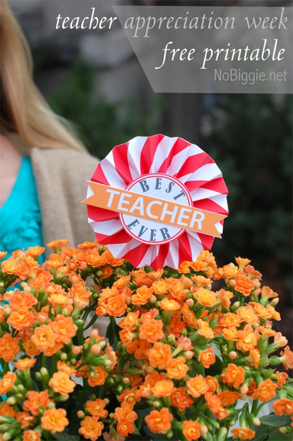 5-minute teacher appreciation gift ideas