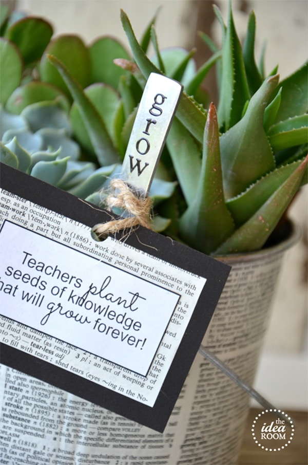 5-minute teacher appreciation gift ideas for kindergarten teachers