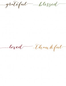 This Thanksgiving use these printable Gratitude Cards for your guests to fill out and keep as a memory.