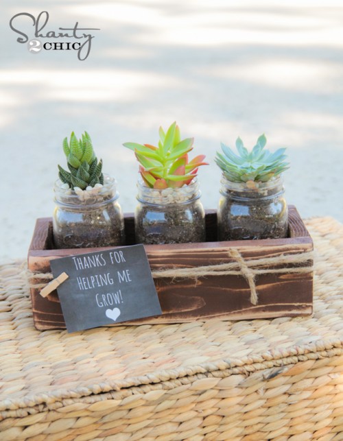 Spruce up either your home either indoors or outdoors with these Easy DIY Succulent Planters you can make on a frugal budget.