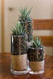 Spruce up either your home either indoors or outdoors with these Easy DIY Succulent Planters you can make on a frugal budget.