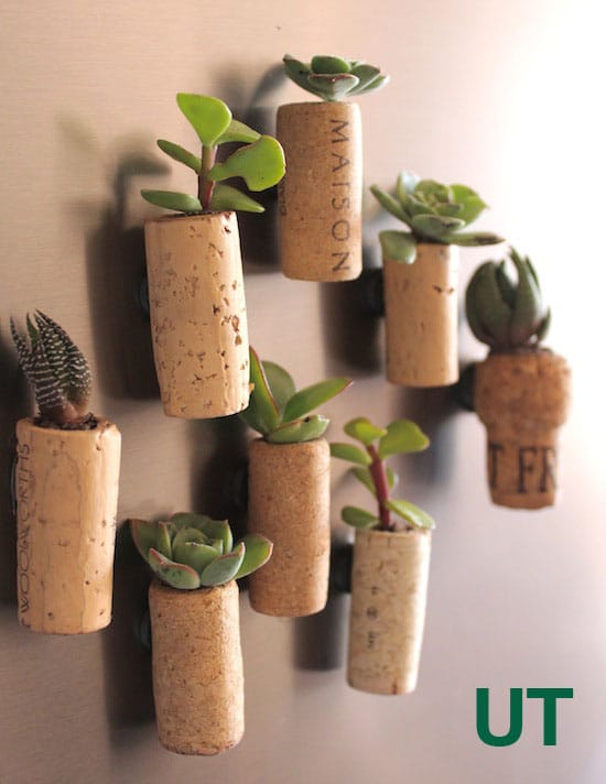 Spruce up either your home either indoors or outdoors with these Easy DIY Succulent Planters you can make on a frugal budget.