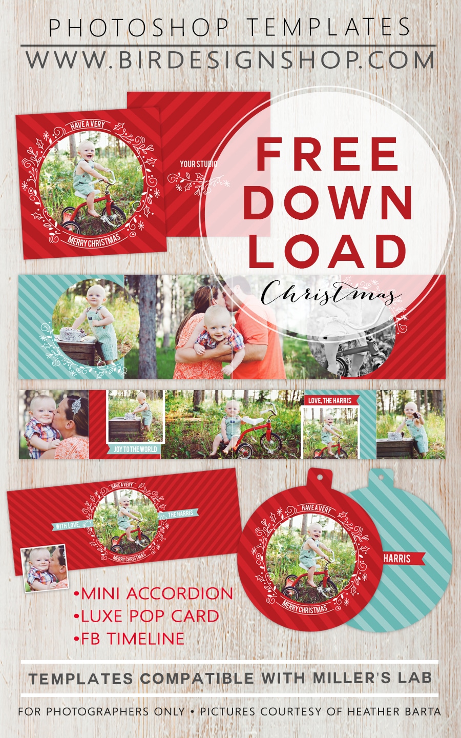 50 + Free Holiday Photo Card Templates - Moritz Fine Designs