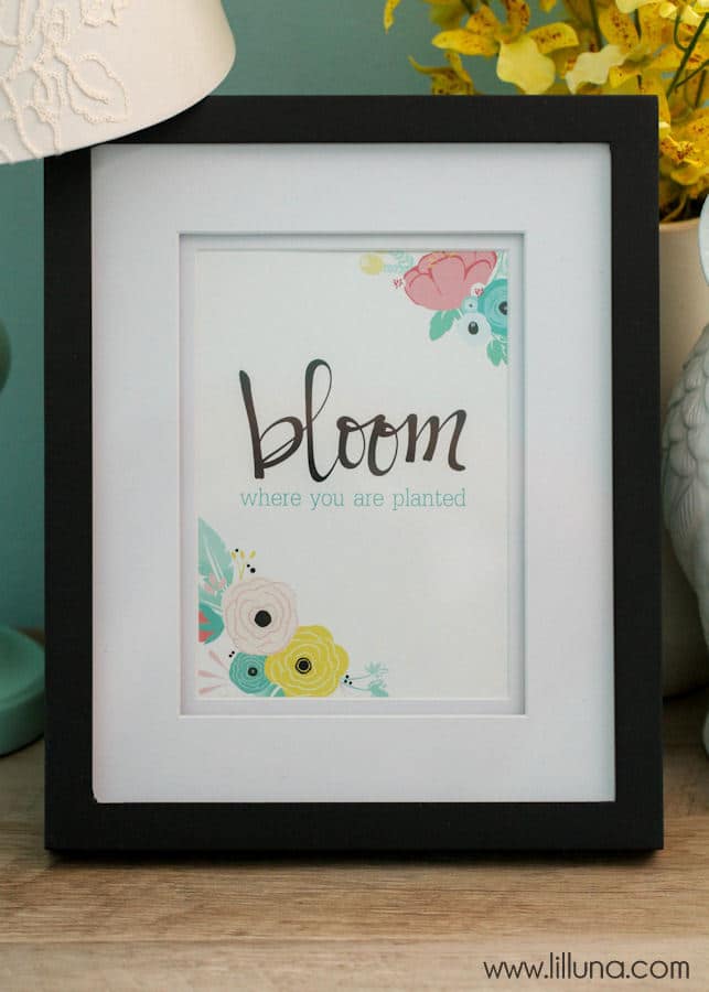 It's time to freshen up your home. Grab one of these Spring Decor free printables to download, print and hang. It will be a welcome site this spring! 