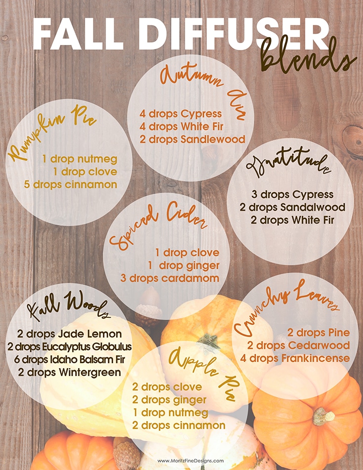 Fill your home with wonderful fall smells like cinnamon, clove, nutmeg and orange in perfect Fall Diffuser Essential Oil Blends.