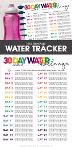 Printable Drinking water Tracker Cost-free Printable Involved photo regarding Printable Water Tracker named Printable H2o Tracker Totally free Printable Provided