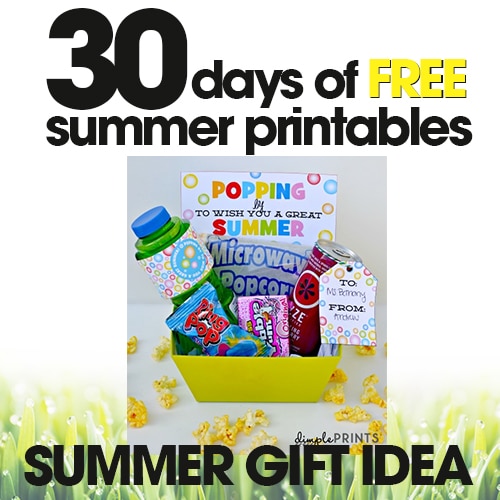 Summer Gift Idea | Free Summer Printable Day #16