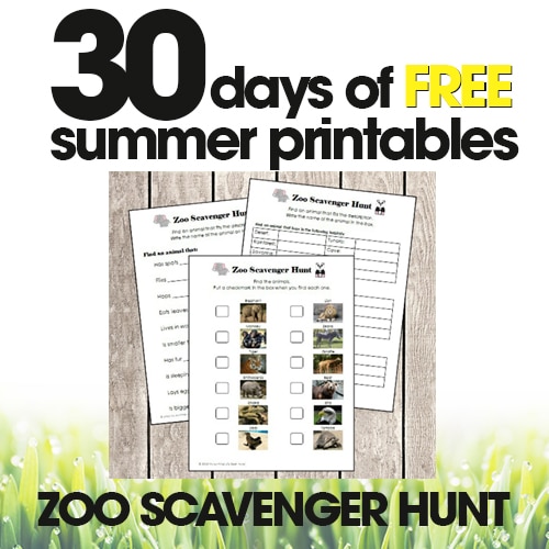 free summer printables | zoo scavenger hunt | fun summer activities for kids | free printable