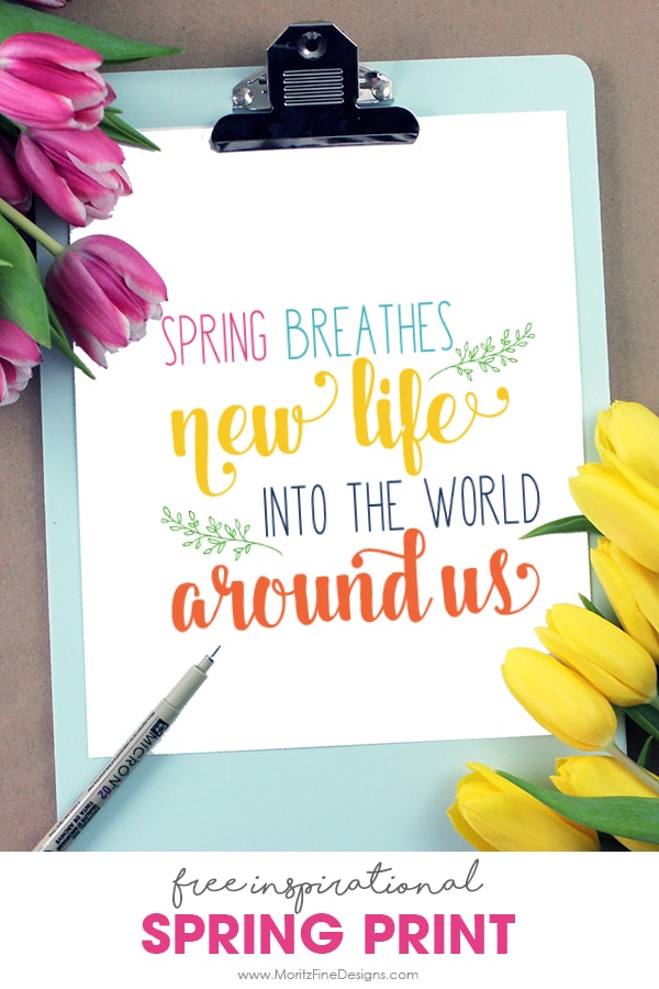 It's time so freshen up your home decor, and you can do it for free! Use the free Spring Decor Printable for a great inspirational splash of spring in your house! Easy to download and print.