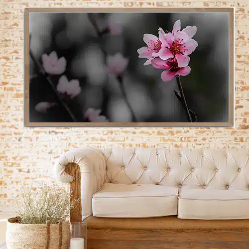Spring Frame TV Art | Download Your Set of 6 Free Digital Prints