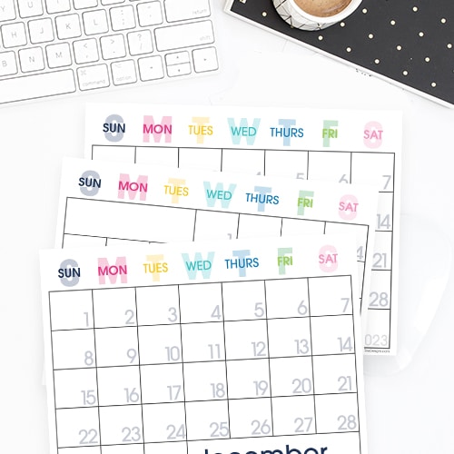 Get organized with the free printable 20234calendar. Easy to download, print and put to use. It's even digitally editable!